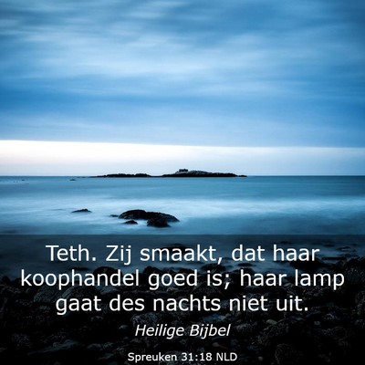 Picture 03 - Spreuken 31:18 NLD - Teth. Zij smaakt, dat haar koophandel goed is; - Bible Verse Picture