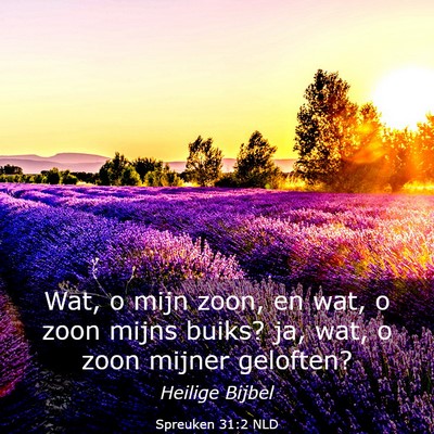 Picture 03 - Spreuken 31:2 NLD - Wat, o mijn zoon, en wat, o zoon mijns buiks? ja, - Bible Verse Picture