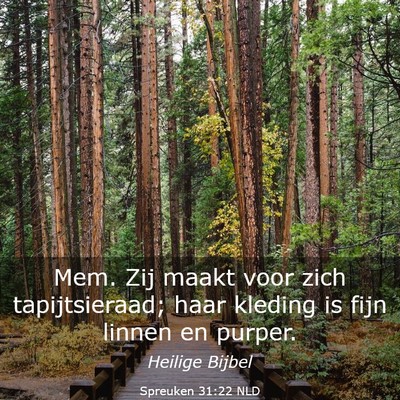 Picture 03 - Spreuken 31:22 NLD - Mem. Zij maakt voor zich tapijtsieraad; haar - Bible Verse Picture
