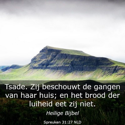 Picture 03 - Spreuken 31:27 NLD - Tsade. Zij beschouwt de gangen van haar huis; en - Bible Verse Picture