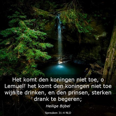 Picture 03 - Spreuken 31:4 NLD - Het komt den koningen niet toe, o Lemuel! het - Bible Verse Picture