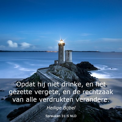 Picture 03 - Spreuken 31:5 NLD - Opdat hij niet drinke, en het gezette vergete, en - Bible Verse Picture