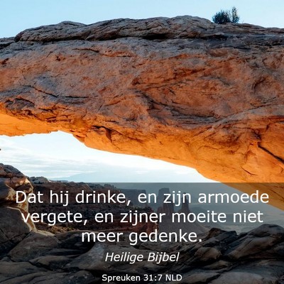 Picture 03 - Spreuken 31:7 NLD - Dat hij drinke, en zijn armoede vergete, en - Bible Verse Picture