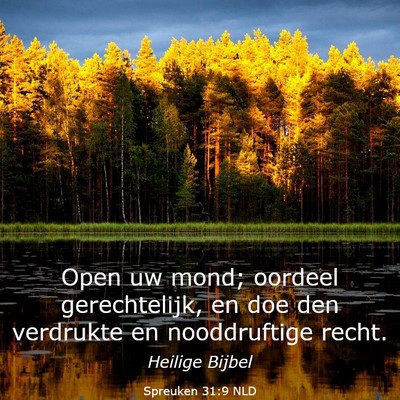 Picture 03 - Spreuken 31:9 NLD - Open uw mond; oordeel gerechtelijk, en doe den - Bible Verse Picture