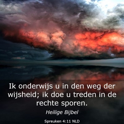 Picture 03 - Spreuken 4:11 NLD - Ik onderwijs u in den weg der wijsheid; ik doe u - Bible Verse Picture