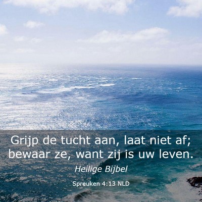 Picture 03 - Spreuken 4:13 NLD - Grijp de tucht aan, laat niet af; bewaar ze, want - Bible Verse Picture