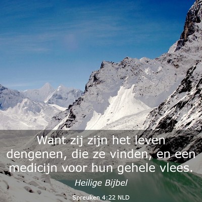 Picture 03 - Spreuken 4:22 NLD - Want zij zijn het leven dengenen, die ze vinden, - Bible Verse Picture