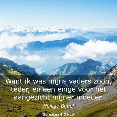 Picture 03 - Spreuken 4:3 NLD - Want ik was mijns vaders zoon, teder, en een - Bible Verse Picture