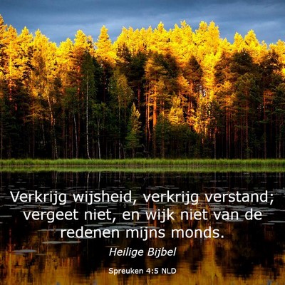 Picture 03 - Spreuken 4:5 NLD - Verkrijg wijsheid, verkrijg verstand; vergeet - Bible Verse Picture
