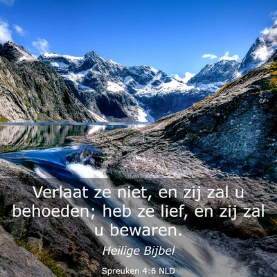 Picture 03 - Spreuken 4:6 NLD - Verlaat ze niet, en zij zal u behoeden; heb ze - Bible Verse Picture