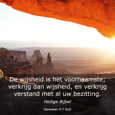 Picture 03 - Spreuken 4:7 NLD - De wijsheid is het voornaamste; verkrijg dan - Bible Verse Picture