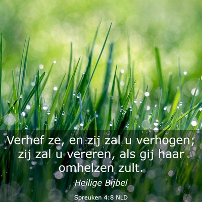 Picture 03 - Spreuken 4:8 NLD - Verhef ze, en zij zal u verhogen; zij zal u - Bible Verse Picture