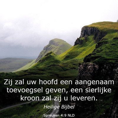 Picture 03 - Spreuken 4:9 NLD - Zij zal uw hoofd een aangenaam toevoegsel geven, - Bible Verse Picture
