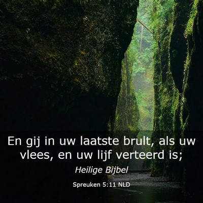 Picture 03 - Spreuken 5:11 NLD - En gij in uw laatste brult, als uw vlees, en uw - Bible Verse Picture