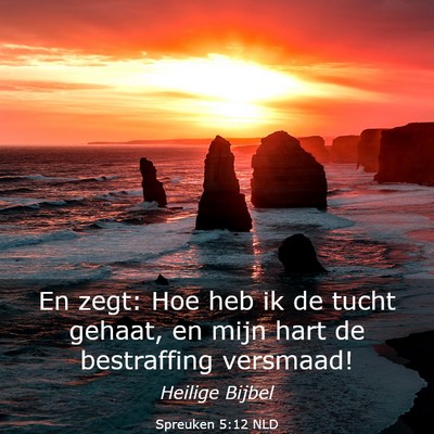 Picture 03 - Spreuken 5:12 NLD - En zegt: Hoe heb ik de tucht gehaat, en mijn hart - Bible Verse Picture