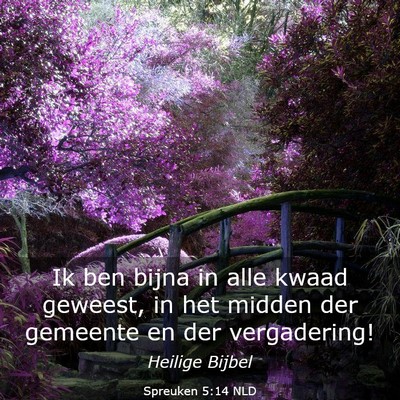 Picture 03 - Spreuken 5:14 NLD - Ik ben bijna in alle kwaad geweest, in het midden - Bible Verse Picture