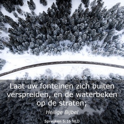 Picture 03 - Spreuken 5:16 NLD - Laat uw fonteinen zich buiten verspreiden, en de - Bible Verse Picture