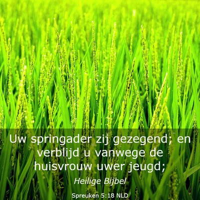 Picture 03 - Spreuken 5:18 NLD - Uw springader zij gezegend; en verblijd u vanwege - Bible Verse Picture