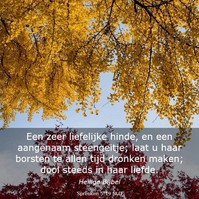 Picture 03 - Spreuken 5:19 NLD - Een zeer liefelijke hinde, en een aangenaam - Bible Verse Picture