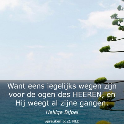 Picture 03 - Spreuken 5:21 NLD - Want eens iegelijks wegen zijn voor de ogen des - Bible Verse Picture