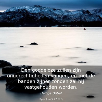 Picture 03 - Spreuken 5:22 NLD - Den goddeloze zullen zijn ongerechtigheden - Bible Verse Picture