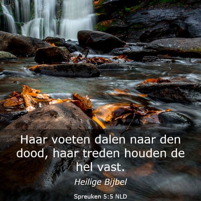 Picture 03 - Spreuken 5:5 NLD - Haar voeten dalen naar den dood, haar treden - Bible Verse Picture