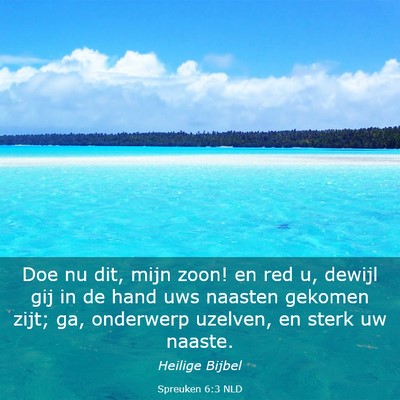 Picture 03 - Spreuken 6:3 NLD - Doe nu dit, mijn zoon! en red u, dewijl gij in de - Bible Verse Picture
