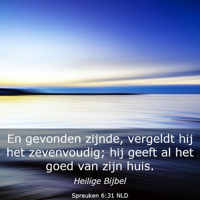 Picture 03 - Spreuken 6:31 NLD - En gevonden zijnde, vergeldt hij het zevenvoudig; - Bible Verse Picture