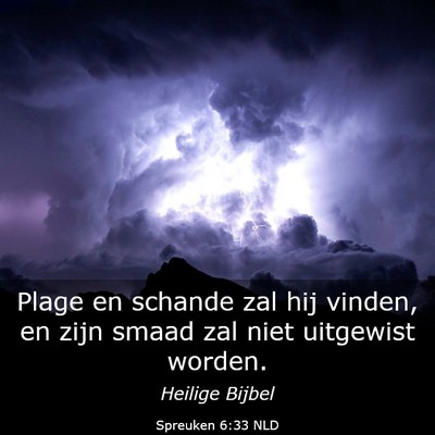 Picture 03 - Spreuken 6:33 NLD - Plage en schande zal hij vinden, en zijn smaad - Bible Verse Picture