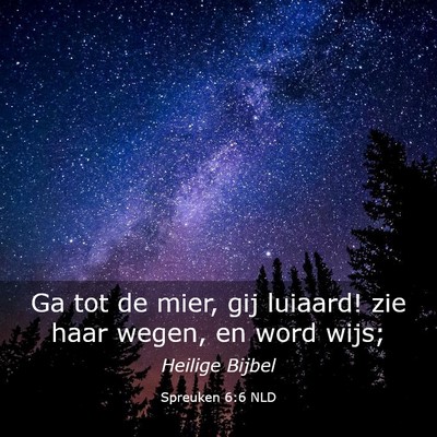 Picture 03 - Spreuken 6:6 NLD - Ga tot de mier, gij luiaard! zie haar wegen, en - Bible Verse Picture