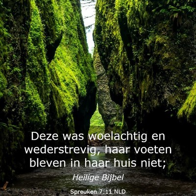 Picture 03 - Spreuken 7:11 NLD - Deze was woelachtig en wederstrevig, haar voeten - Bible Verse Picture
