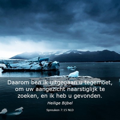 Picture 03 - Spreuken 7:15 NLD - Daarom ben ik uitgegaan u tegemoet, om uw - Bible Verse Picture