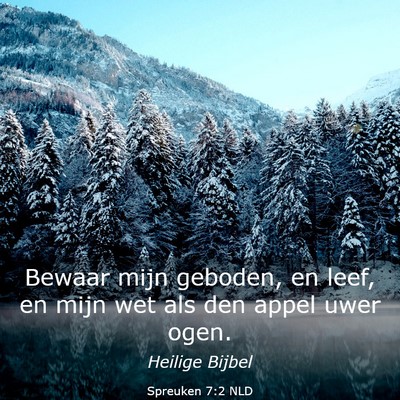Picture 03 - Spreuken 7:2 NLD - Bewaar mijn geboden, en leef, en mijn wet als den - Bible Verse Picture