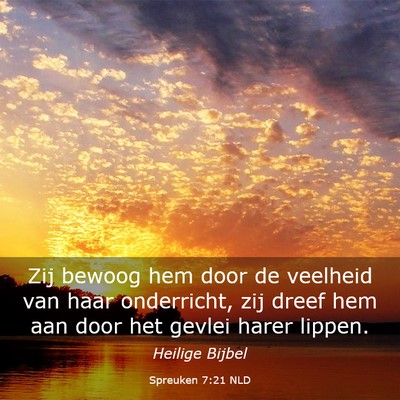 Picture 03 - Spreuken 7:21 NLD - Zij bewoog hem door de veelheid van haar - Bible Verse Picture