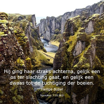 Picture 03 - Spreuken 7:22 NLD - Hij ging haar straks achterna, gelijk een os ter - Bible Verse Picture