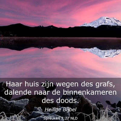 Picture 03 - Spreuken 7:27 NLD - Haar huis zijn wegen des grafs, dalende naar de - Bible Verse Picture