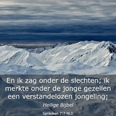 Picture 03 - Spreuken 7:7 NLD - En ik zag onder de slechten; ik merkte onder de - Bible Verse Picture