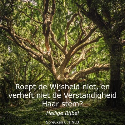 Picture 03 - Spreuken 8:1 NLD - Roept de Wijsheid niet, en verheft niet de - Bible Verse Picture