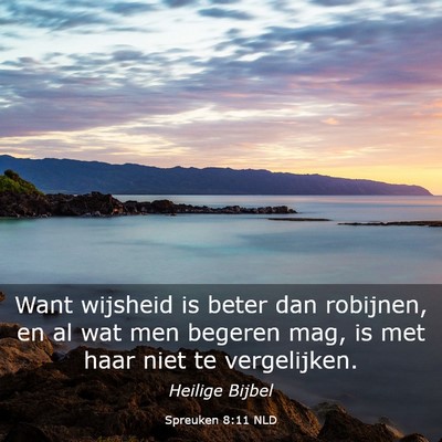 Picture 03 - Spreuken 8:11 NLD - Want wijsheid is beter dan robijnen, en al wat - Bible Verse Picture