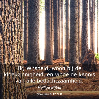 Picture 03 - Spreuken 8:12 NLD - Ik, Wijsheid, woon bij de kloekzinnigheid, en - Bible Verse Picture