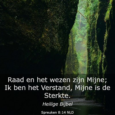 Picture 03 - Spreuken 8:14 NLD - Raad en het wezen zijn Mijne; Ik ben het - Bible Verse Picture
