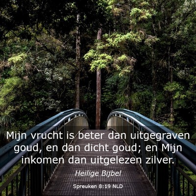 Picture 03 - Spreuken 8:19 NLD - Mijn vrucht is beter dan uitgegraven goud, en dan - Bible Verse Picture