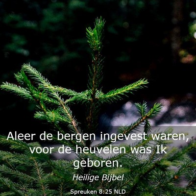 Picture 03 - Spreuken 8:25 NLD - Aleer de bergen ingevest waren, voor de heuvelen - Bible Verse Picture