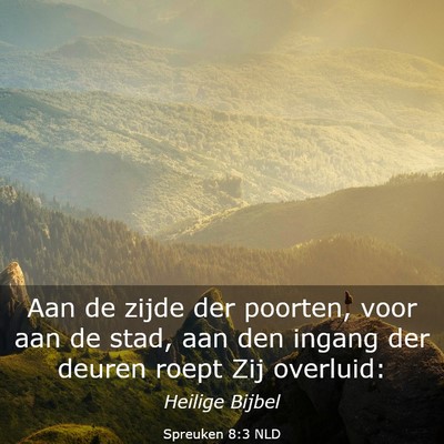 Picture 03 - Spreuken 8:3 NLD - Aan de zijde der poorten, voor aan de stad, aan - Bible Verse Picture