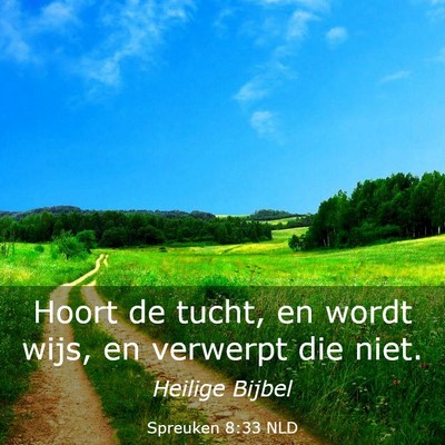 Picture 03 - Spreuken 8:33 NLD - Hoort de tucht, en wordt wijs, en verwerpt die - Bible Verse Picture