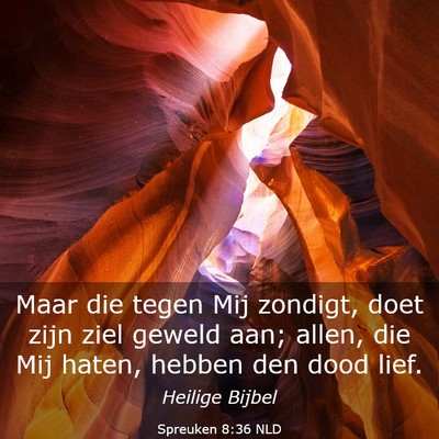 Picture 03 - Spreuken 8:36 NLD - Maar die tegen Mij zondigt, doet zijn ziel geweld - Bible Verse Picture