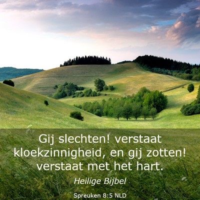 Picture 03 - Spreuken 8:5 NLD - Gij slechten! verstaat kloekzinnigheid, en gij - Bible Verse Picture