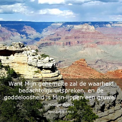 Picture 03 - Spreuken 8:7 NLD - Want Mijn gehemelte zal de waarheid bedachtelijk - Bible Verse Picture