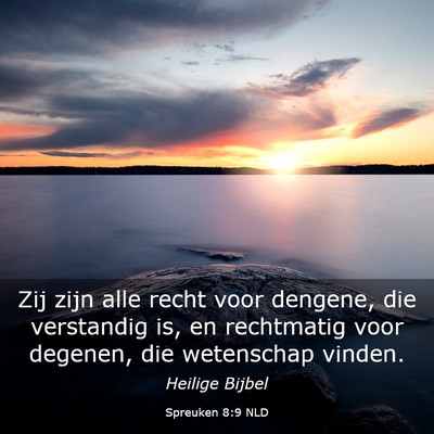 Picture 03 - Spreuken 8:9 NLD - Zij zijn alle recht voor dengene, die verstandig - Bible Verse Picture