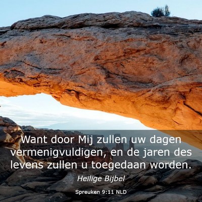 Picture 03 - Spreuken 9:11 NLD - Want door Mij zullen uw dagen vermenigvuldigen, - Bible Verse Picture